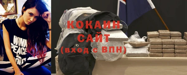 стаф Касимов