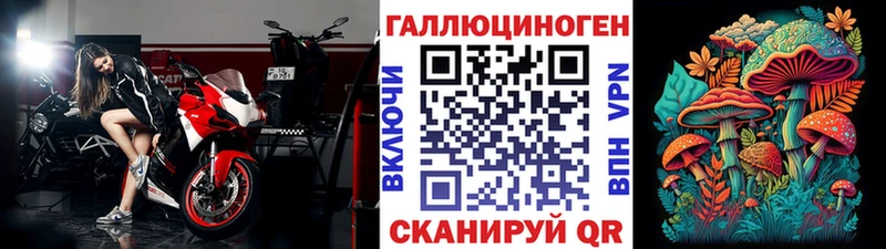 где найти   Можайск  Псилоцибиновые грибы Cubensis 