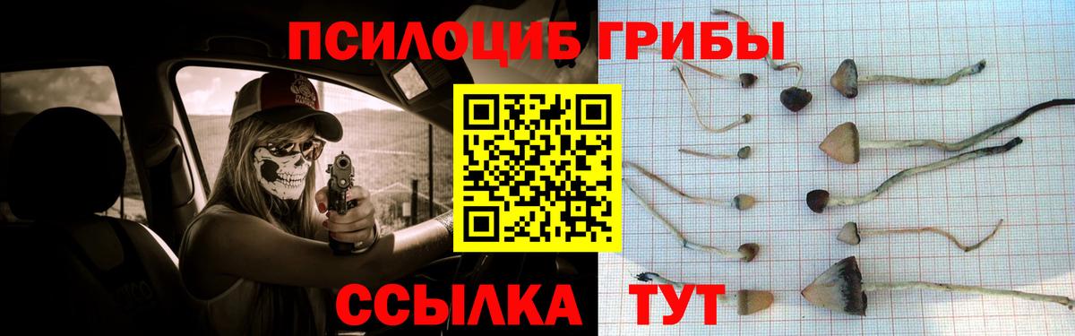Псилоцибиновые грибы прущие грибы Можайск